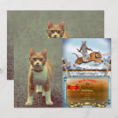 眼鏡おもしろい付き猫 招待状 (正面/裏面)