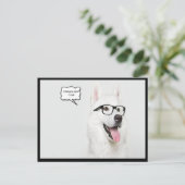 眼鏡は犬クールだ ポストカード (スタンド正面)