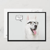 眼鏡は犬クールだ ポストカード (正面/裏面)