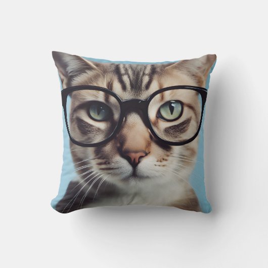 眼鏡をかけた猫 クッション (正面)