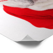 眼鏡フランスのと赤シャツのブルドッグ ポスター (角)