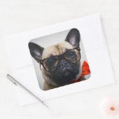 眼鏡フランスの付きブルドッグ及びボウタイ スクエアシール (封筒)