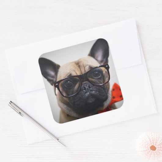 眼鏡フランスの付きブルドッグ及びボウタイ スクエアシール (封筒)