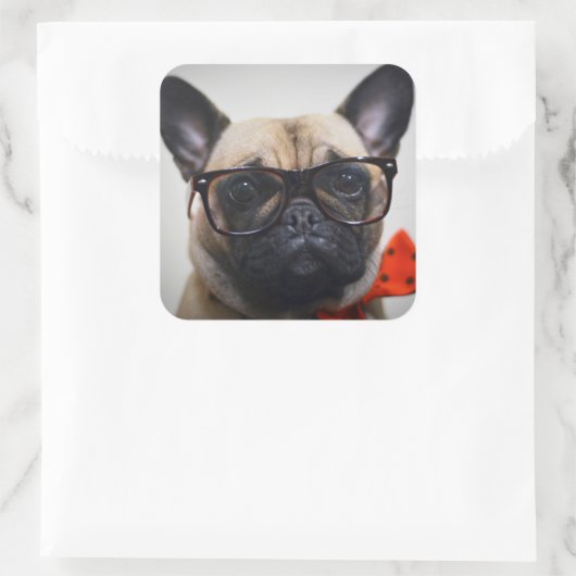 眼鏡フランスの付きブルドッグ及びボウタイ スクエアシール (バッグ)