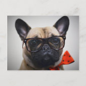 眼鏡フランスの付きブルドッグ及びボウタイ ポストカード (正面)