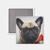 眼鏡フランスの付きブルドッグ及びボウタイ マグネット (正面/裏面)