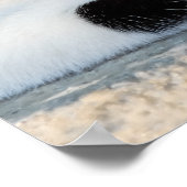 眼鏡フレームの写真をおもしろい載せた好奇猫 ポスター (角)