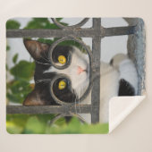 眼鏡フレーム写真つき好奇心に満ちた猫のおもしろい目 シェルパブランケット (正面(横))