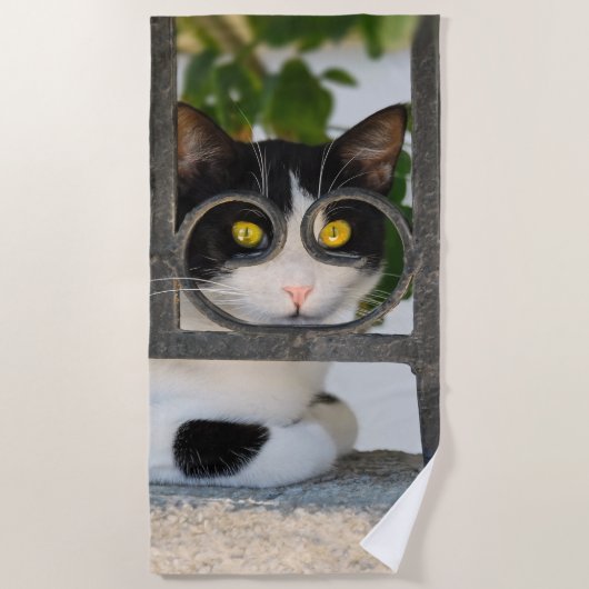 眼鏡フレーム写真つき好奇心に満ちた猫のおもしろい目 ビーチタオル (正面)