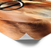 眼鏡ポスター付き馬 ポスター (角)