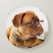 眼鏡枕のブルドッグ ラウンドクッション (裏面)