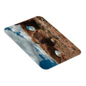 眼鏡、北と南の窓、アーチNP マグネット (右側)