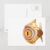 眼魚 ポストカード (正面/裏面)