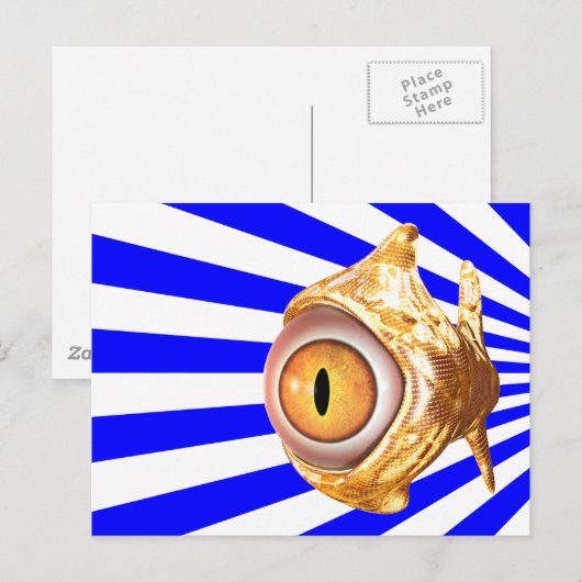 眼魚 ポストカード (正面/裏面)