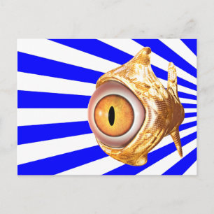 眼魚 ポストカード