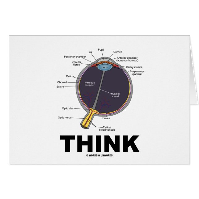 （眼）考え(解剖学的ユーモア) (正面横)