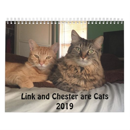 着せられた猫2019のカレンダー カレンダー (カバー)
