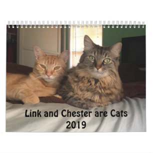 着せられた猫2019のカレンダー カレンダー