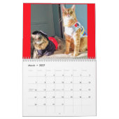 着せられた猫2019のカレンダー カレンダー (3月 2027)