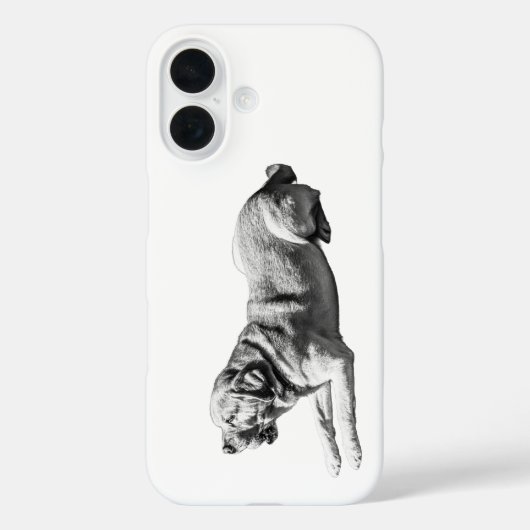 着実な視線 – ラブラドールポーズ Case-Mate iPhoneケース (裏面)