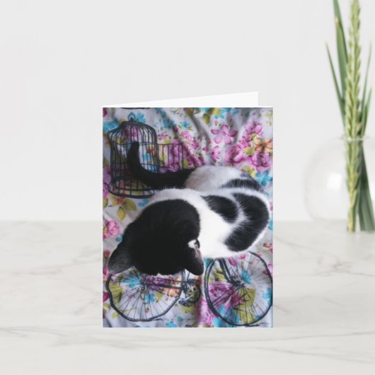 着席のかわいらしい子猫Notecard カード (正面)