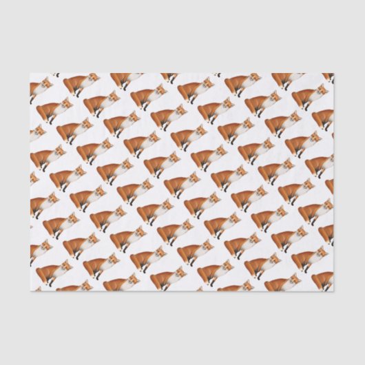 着席のアカギツネの野性生物のティッシュペーパー 薄葉紙 (正面)