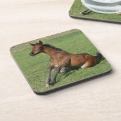 着席のアラビアの子馬 コースター (左側)