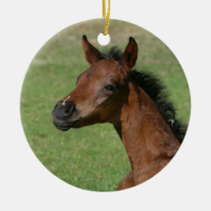 着席のアラビアの子馬 セラミックオーナメント
