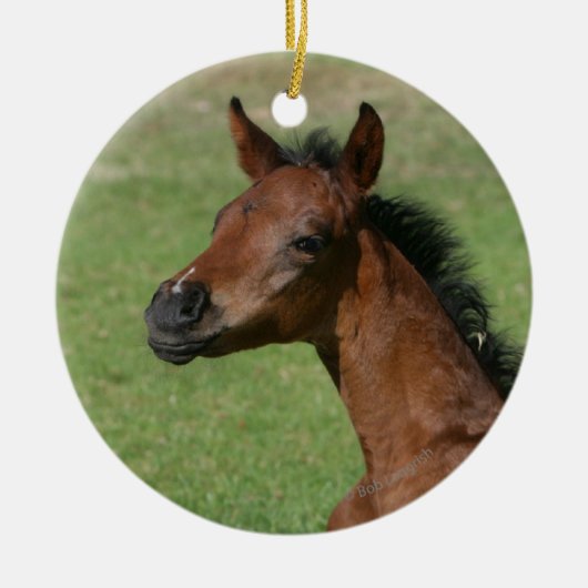 着席のアラビアの子馬 セラミックオーナメント (正面)