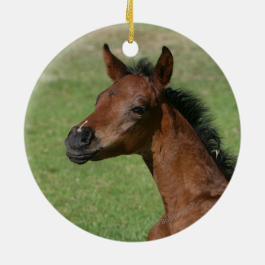 着席のアラビアの子馬 セラミックオーナメント (裏面)