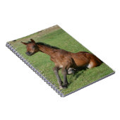 着席のアラビアの子馬 ノートブック (右側)