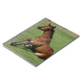 着席のアラビアの子馬 ノートブック (左側)