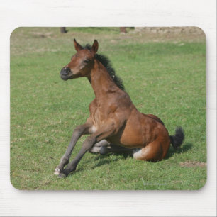 着席のアラビアの子馬 マウスパッド