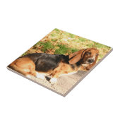 着席のバセットハウンドのタイル タイル (側面)