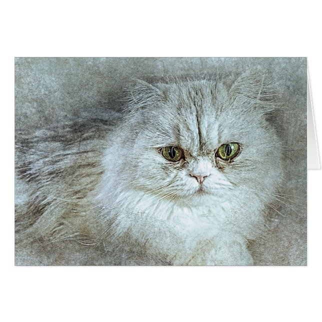 着座かわいらし子猫 |抽象芸術 |水彩 (正面横)