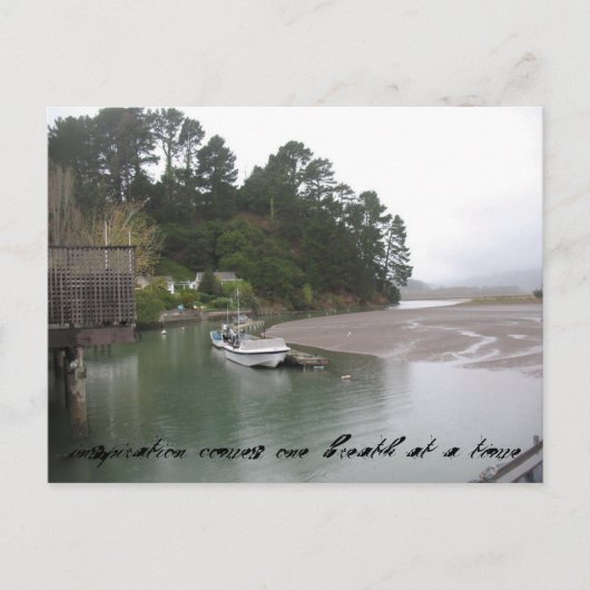 着想はがき ポストカード (正面)