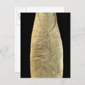 着物を羽織っている子 ポストカード (正面/裏面)