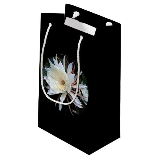 着生サボテンの花 スモールペーパーバッグ (裏面アングル)