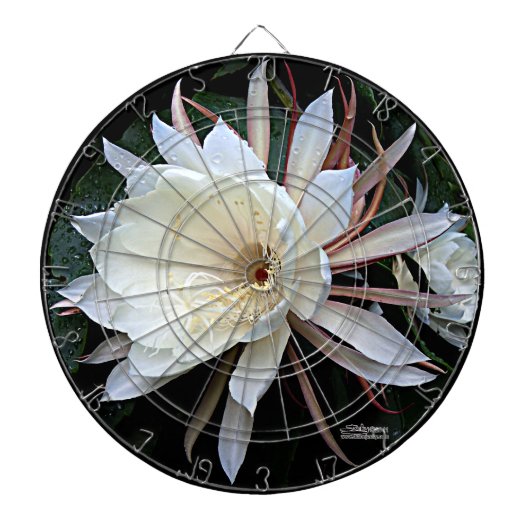 着生サボテンの花 ダーツボード (正面)