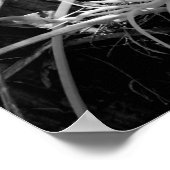 着生植物のティランジアはフロリダでよく見られる ポスター (角)