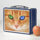 着色されたキャッツ・アイ メタルランチボックス (インサイチュ)