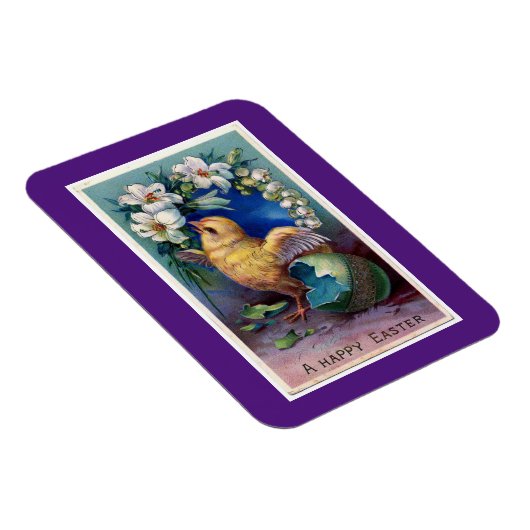 着色された卵の磁石から孵化した復活祭の雛 マグネット (右側)