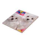 着色された球の白い子犬 タイル (側面)