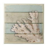 着色される珊瑚クリーム タイル (正面)