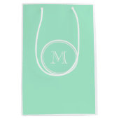 着色される軽く真新しい緑の上限一致 ミディアムペーパーバッグ (正面)