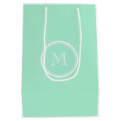 着色される軽く真新しい緑の上限一致 ミディアムペーパーバッグ (裏面)