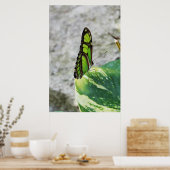 着色ガラス ポスター (キッチン)