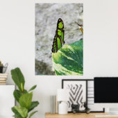 着色ガラス ポスター (ホームオフィス)