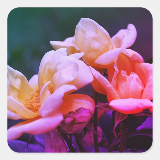 着色ローズブズフローラ スクエアシール (正面)