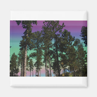 着色木磁石 マグネット